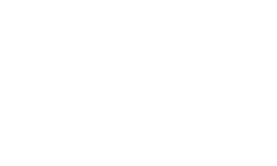 South east logo roofing white